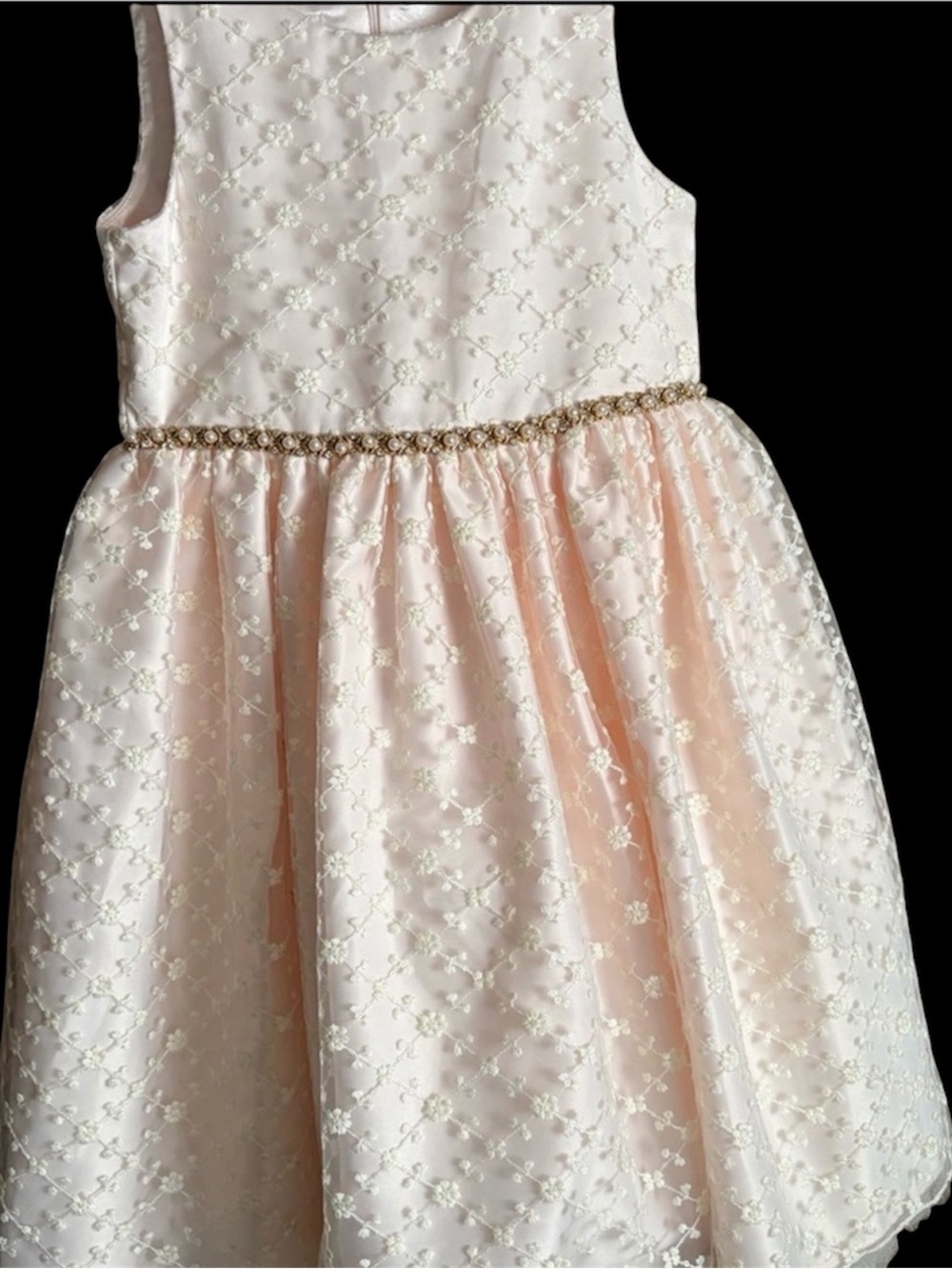 American Princess Blush Pink Floral Lace Party Dress with Gold Accent